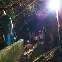 Tin tức trong ngày - TPHCM: Phát hiện sọ người trong vụ vỡ bờ bao