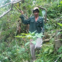 Tin tức trong ngày - Cha con "người rừng" ở Quảng Ngãi được lên phim