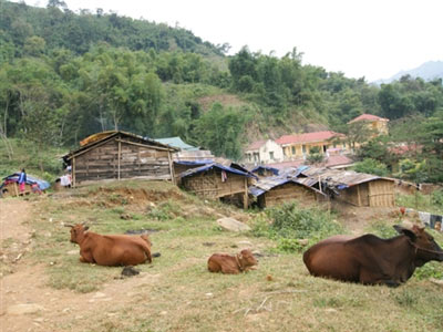 Đốt đời trong ma túy - 2