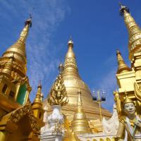 Thể thao - Vàng tấn và vàng giả