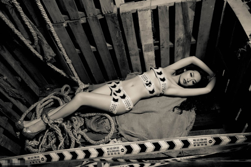 Showbiz Việt 2013: "Được mùa" ảnh nude - 7