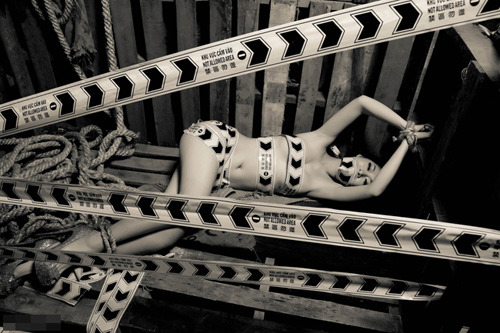 Showbiz Việt 2013: "Được mùa" ảnh nude - 8