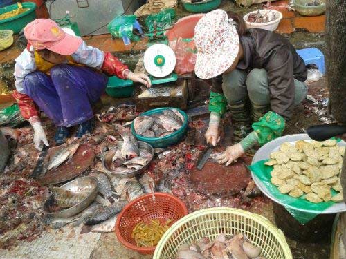 Hãi hùng chợ đầu mối cá, thịt rẻ ở Hà Nội - 1