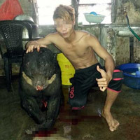 Tin tức trong ngày - Khoe ảnh giết gấu trên Facebook: Sẽ xử lý nghiêm