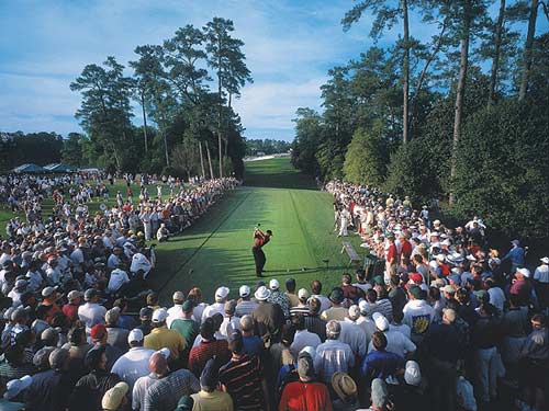 Tiger Woods: Tượng đài sống của làng golf (P2) - 1