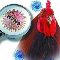 Sức khỏe đời sống - Trung Quốc phát hiện trường hợp nhiễm cúm H7N9
