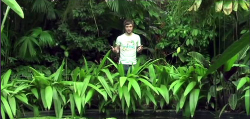 Mùi của quỷ: Thứ ma túy đáng sợ nhất thế giới - 2