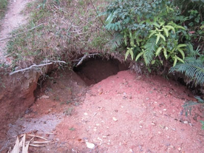 Đồi Tỷ tan hoang vì đá quý - 2