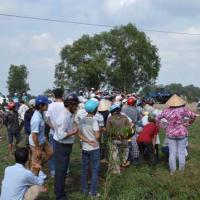 Tin tức trong ngày - Cô gái trẻ chết lõa thể trong rừng tràm