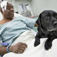 Phi thường - kỳ quặc - Chó nhảy xuống đường ray cứu người chủ mù