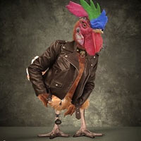 Những tai nạn hack não đàn ông - 3