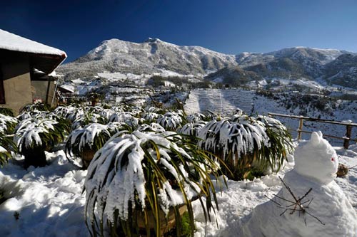 Những hình ảnh đẹp nhất về Sapa mùa tuyết rơi
