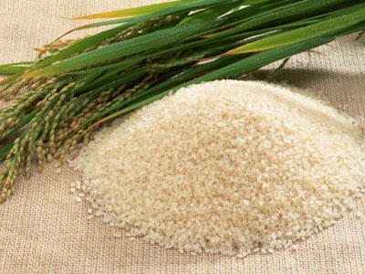 Công thức giảm cân hiệu quả từ Nhật Bản - 5