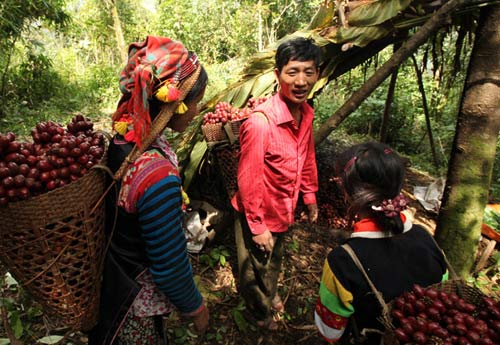 Xóa đói chữ ở bản người Lá Vàng - 7