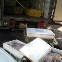 Pháp luật - HN: Bắt 6 tạ nội tạng thối trên đường "lên" bàn nhậu