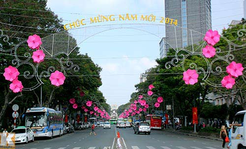 Hà Nội-TPHCM lung linh đón Noel và năm mới - 14