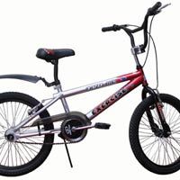 Thể thao - Siêu kỷ lục biểu diễn xe đạp BMX