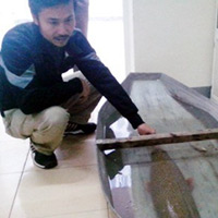 Tin tức trong ngày - Nuôi giữ "thủy quái" ở căng tin bệnh viện