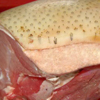 Thị trường - Tiêu dùng - Loạn "đặc sản" giả, móc túi người mua