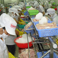 Thị trường - Tiêu dùng - Nông nghiệp trụ vững với khó khăn