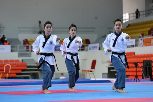 Thành lập đội biểu diễn Taekwondo Việt Nam - 1