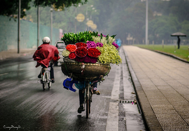 Sắc hoa trong cơn mưa...
