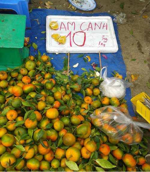 Cam Trung Quốc đội lốt cam Vinh, cam Canh - 2