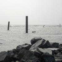 Tin tức trong ngày - Vụ 7 HS bị cuốn trôi: Thực nghiệm hiện trường