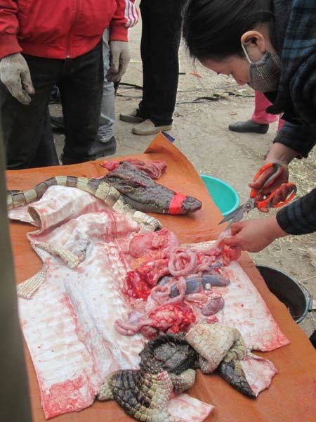 Cá sấu mổ ngay tại chợ Thủ đô "cháy" hàng - 7