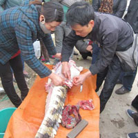 Thị trường - Tiêu dùng - Cá sấu mổ ngay tại chợ Thủ đô "cháy" hàng