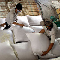 Thị trường - Tiêu dùng - Xuất khẩu gạo năm 2013 đạt 6,61 triệu tấn