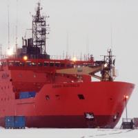 Tin tức trong ngày - 3 tàu phá băng không cứu nổi tàu Nga mắc kẹt