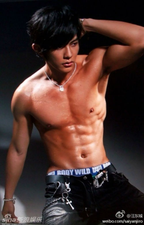 20 sao nam Hoa ngữ gợi cảm nhất 2013 - 15