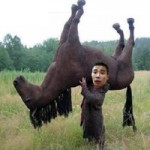 Tổng kết năm: Những điều khó quên 2013