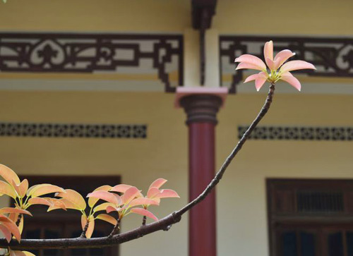 Vãn cảnh Linh Phong- ngôi chùa cổ ở Bình Định - 15