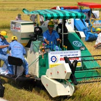 Thị trường - Tiêu dùng - Ì ạch cơ giới hóa nông nghiệp