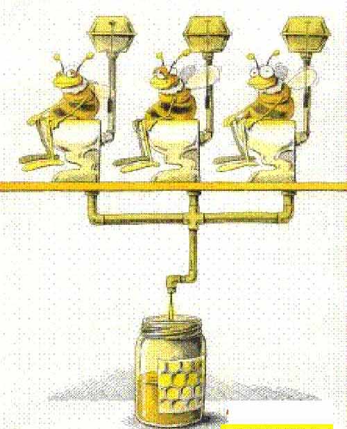 Năm 3000 con người sẽ ra sao? - 8