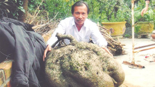 Đi tìm cây thuốc trong rừng đại ngàn - 2