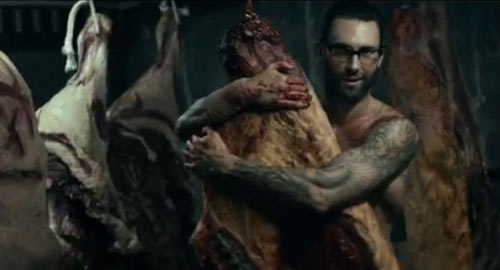 MV 18+ của vợ chồng Adam Levine bị lên án - 2