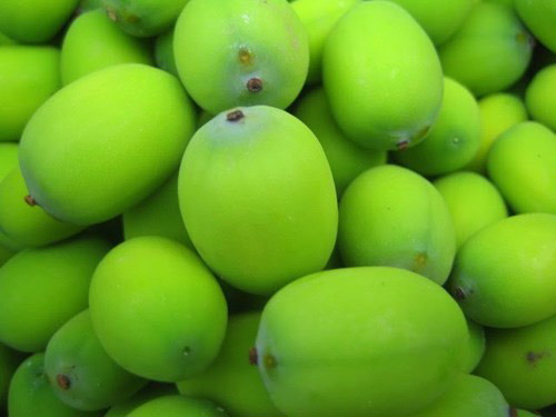 Tác dụng kỳ diệu của cây sen - 2