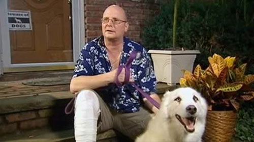 Cảm động với 10 câu chuyện về chú chó trung thành - 4