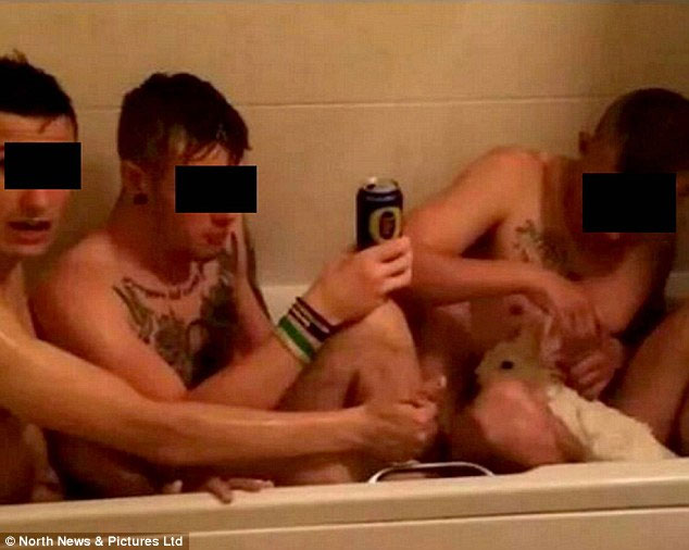 3 thanh niên khoe clip hành hạ thỏ dã man - 1