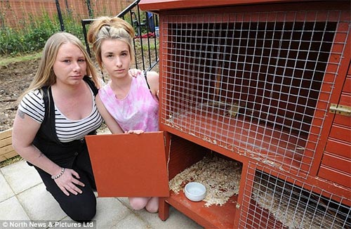 3 thanh niên khoe clip hành hạ thỏ dã man - 4