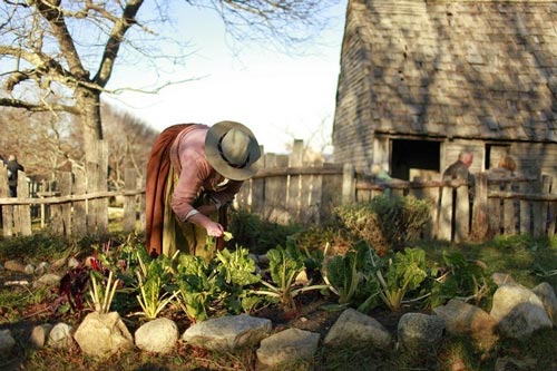 Ghé thăm "ngôi làng thế kỷ 17" Plimoth Plantation - 4