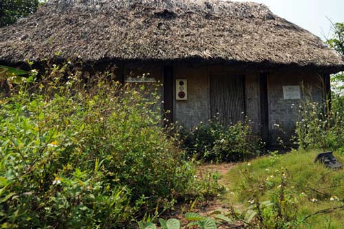 Ảnh: Làng văn hoá 3.200 tỷ thành khu “nhà ma” - 6