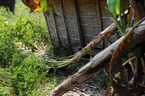 Ảnh: Làng văn hoá 3.200 tỷ thành khu “nhà ma” - 7