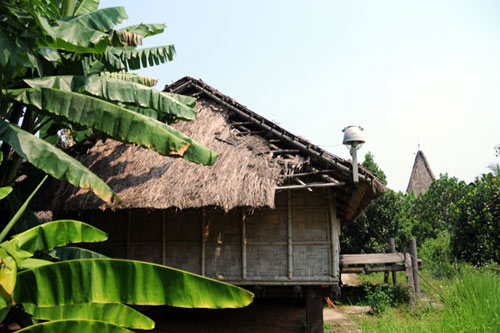 Ảnh: Làng văn hoá 3.200 tỷ thành khu “nhà ma” - 10