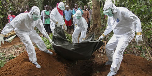 Đã có gần 4000 người tử vong do dịch Ebola - 1