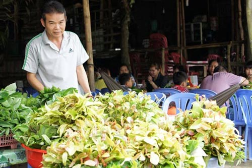 Ăn bánh xèo với rau rừng trên “nóc nhà” miền Tây - 5