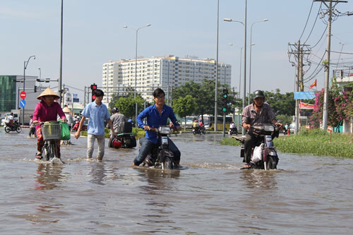 TPHCM xuất hiện "sóng bạc đầu" trên… phố - 14